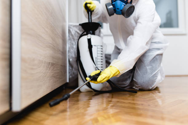 Best Residential Pest Control  in Wardsville, MO