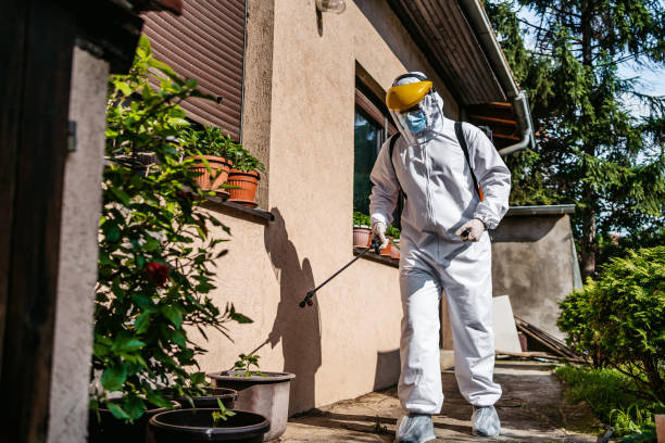 Best Wasp Removal Services  in Wardsville, MO