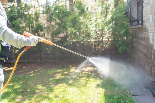 Best Wasp Removal Services  in Wardsville, MO