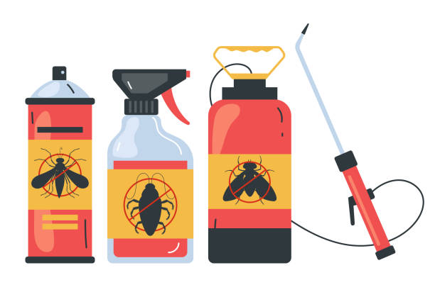 Best Termite Control Services  in Wardsville, MO