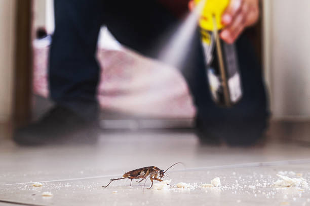 Best Best Pest Control Companies  in Wardsville, MO