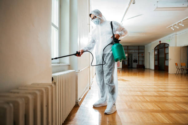 Best Affordable Pest Control Services  in Wardsville, MO