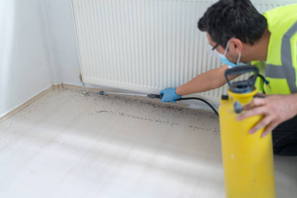 Best Commercial Pest Control Services  in Wardsville, MO